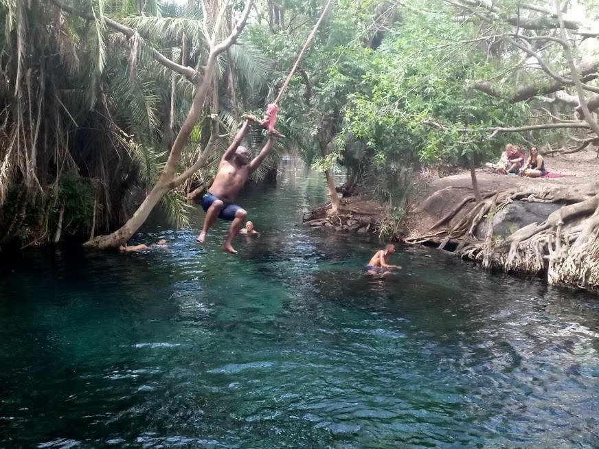 Kilimanjaro Mad Monkey'S Hotel Moshi Dış mekan fotoğraf